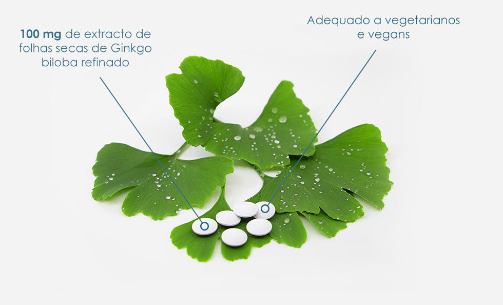 BioActivo Biloba Forte 60 comp.