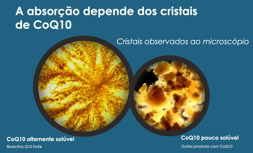 BioActivo Q10 Forte 30 Cáps